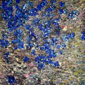 Bitzroeidleni by CHRISTOPH MUELLER