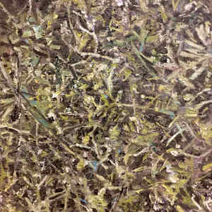 Prairie  by Christoph Müller 