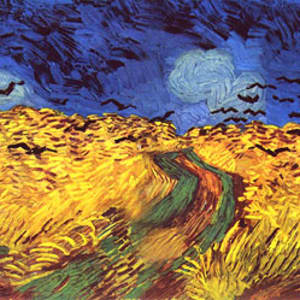 Feld mit Krähen by Christoph Müller 