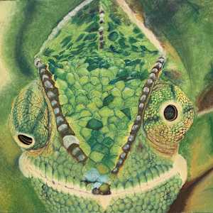 williams, pastel, 2022, chameleon in pastel by Bennie Williams