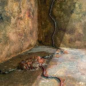 Decay by Jack Unger 