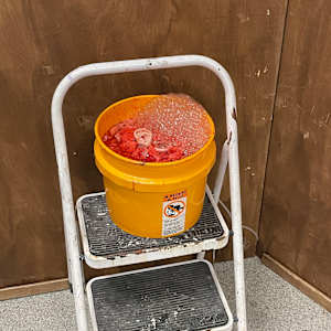 Ear by courtney lougheed