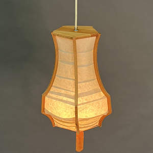 Cherry Pendant Lamp by Jared Effman