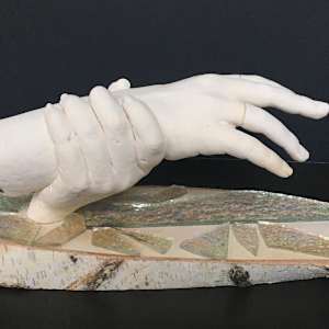 Reaching for Nature's Fortune by Kate Seckar 