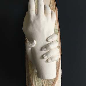 Reaching for Nature's Fortune by Kate Seckar 