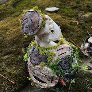 Masked Creature by Kate Seckar 