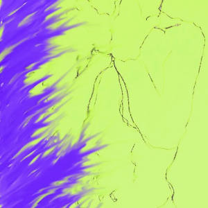 Digital by Figurative expressionist painter Danièle Lamarche-Sarvia  Image: 2010 Melbourne Shame