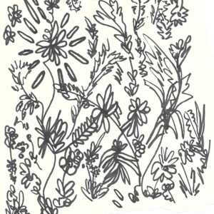 Flores para el martes by Nova Dream Space
