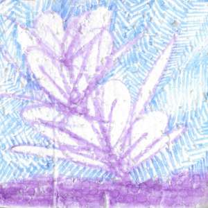 Tropical Beam by Nova Dream Space