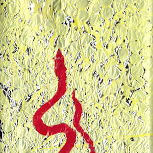 Year of the Wood Snake by Nova Dream Space