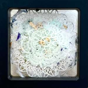 S/T_de la serie 20 fósiles pictóricos by Ingrid Lauw Peña