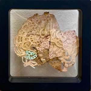 S/T_de la serie 20 fósiles pictóricos by Ingrid Lauw Peña