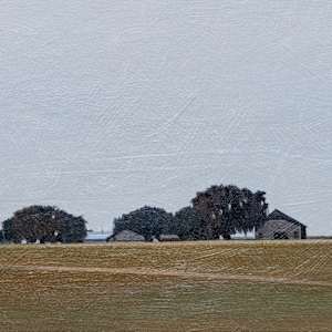 Gadsen County Tobacco Farm by Dean Mitchell