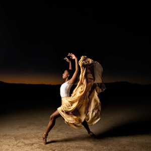 The Phoenix by Gregory Worsham