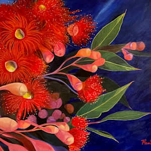 Firecracker ficifolia by Pam Wardner