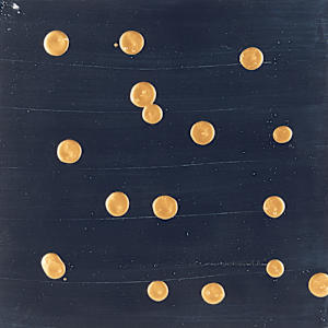 Golden Spots by Michelle Victoria 