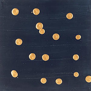 Golden Spots by Michelle Victoria