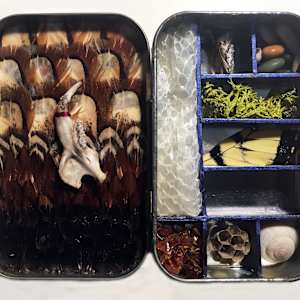 Nature Curio by Kristin Ziegler  Image: Interior
