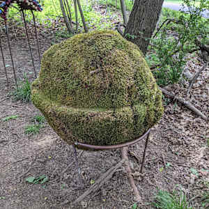 It's Just a Phase by Kristin Ziegler  Image: Moss ball