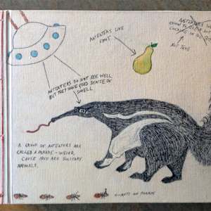 Journal Trio by Kristin Ziegler  Image: Aardvark front