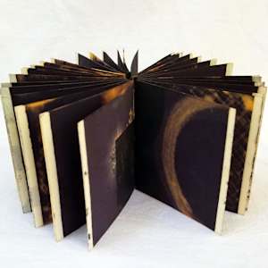 Inherent Vice (Redux) by Kristin Ziegler  Image: Beeswax on page edges