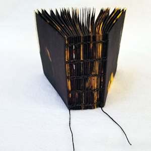 Inherent Vice (Redux) by Kristin Ziegler  Image: Spine