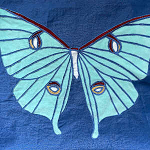 Luna Moth by Kristin Ziegler