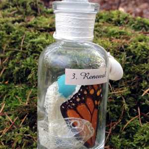 Charmed by Kristin Ziegler