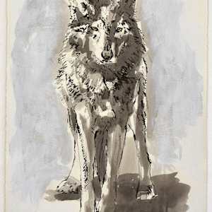 Standing Wolf (Encounter II) by Lynette K Henderson, Image 1.