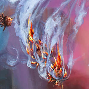 Fire State by Sam Hauser 