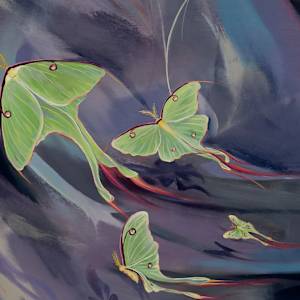 Flight of the Luna Moth by Sam Hauser  Image: Close up 2