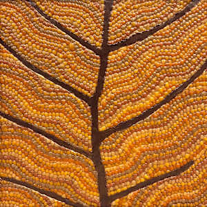 Carried by the Breeze 2 by Cindy Lesperance, Image 2.