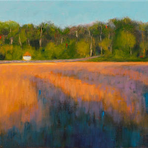 Boathouse (framed) by Barbara Davies