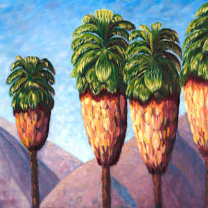 Borrego Beauties: 36" x 48" Canvas Print - Framed, #1 by Barbara Davies
