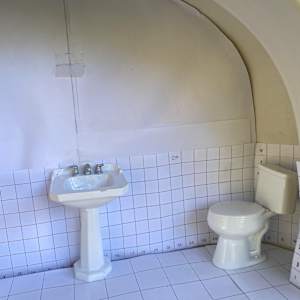 Toilet (Shared Spaces) by Joanne Steinhardt 