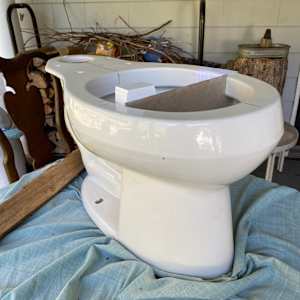 Toilet (Shared Spaces) by Joanne Steinhardt 