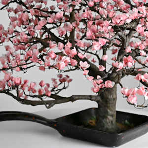 Magnolia Tree by Joanne Steinhardt, Image 5.