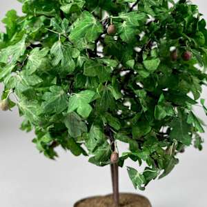 Fig Tree by Joanne Steinhardt, Image 4.