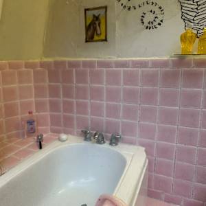 Toilet (Shared Spaces) by Joanne Steinhardt 