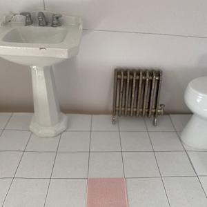 Toilet (Shared Spaces) PRINT by Joanne Steinhardt 