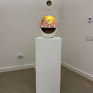 Toilet (Shared Spaces) by Joanne Steinhardt 