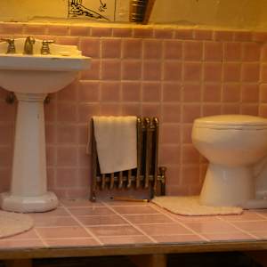 Toilet (Shared Spaces) by Joanne Steinhardt 