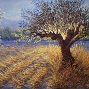 Colors of Summer Olive Grove by Olive Dodd