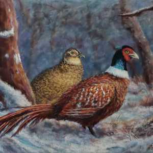 Pheasant Woods by Olive Dodd