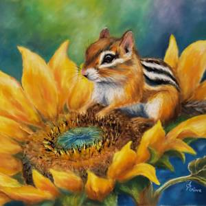 Petals & Whiskers by Olive Dodd