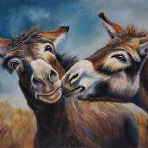 Soft Ears, Big Hearts by Olive Dodd