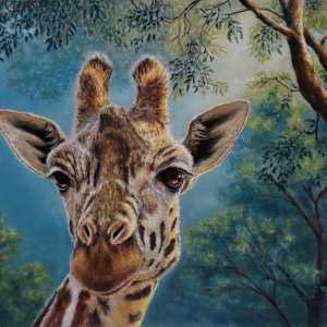 Meet Me in the Canopy by Olive Dodd