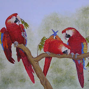 Parrot Play by Olive Dodd
