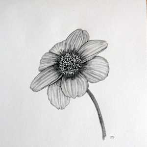 Dahlia by Isabella Burk, Image 1.