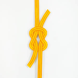 Amber Waves by Meg Roberts Arsenovic